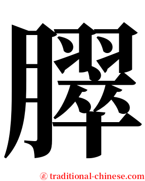 臎 serif font