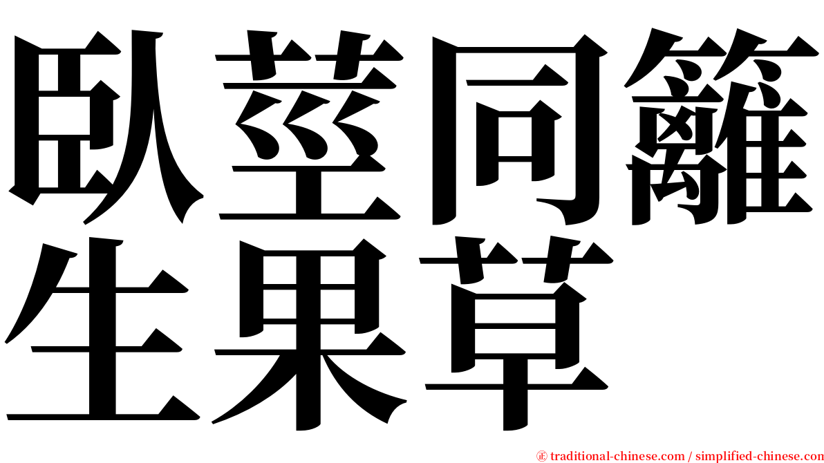 臥莖同籬生果草 serif font