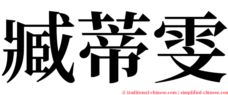 臧蒂雯 serif font