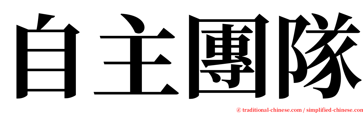 自主團隊 serif font