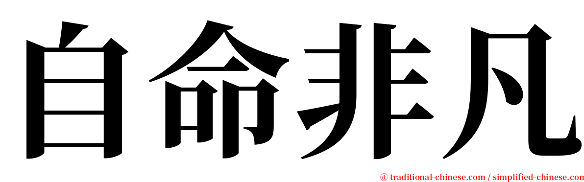 自命非凡 serif font