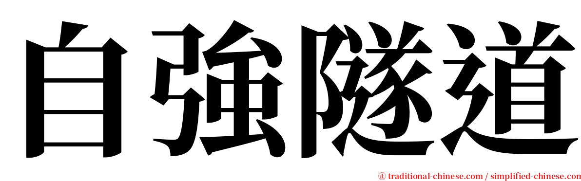 自強隧道 serif font