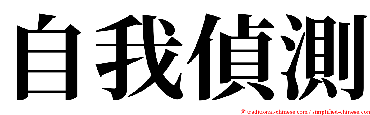 自我偵測 serif font