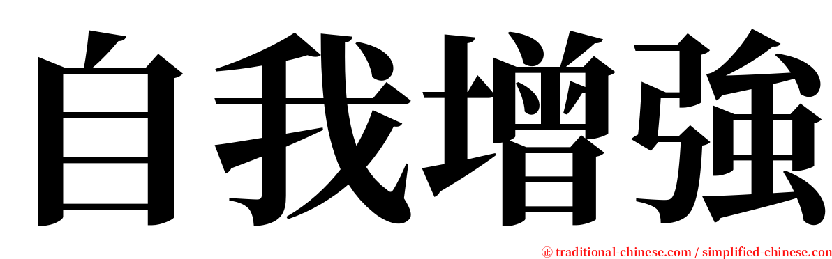 自我增強 serif font