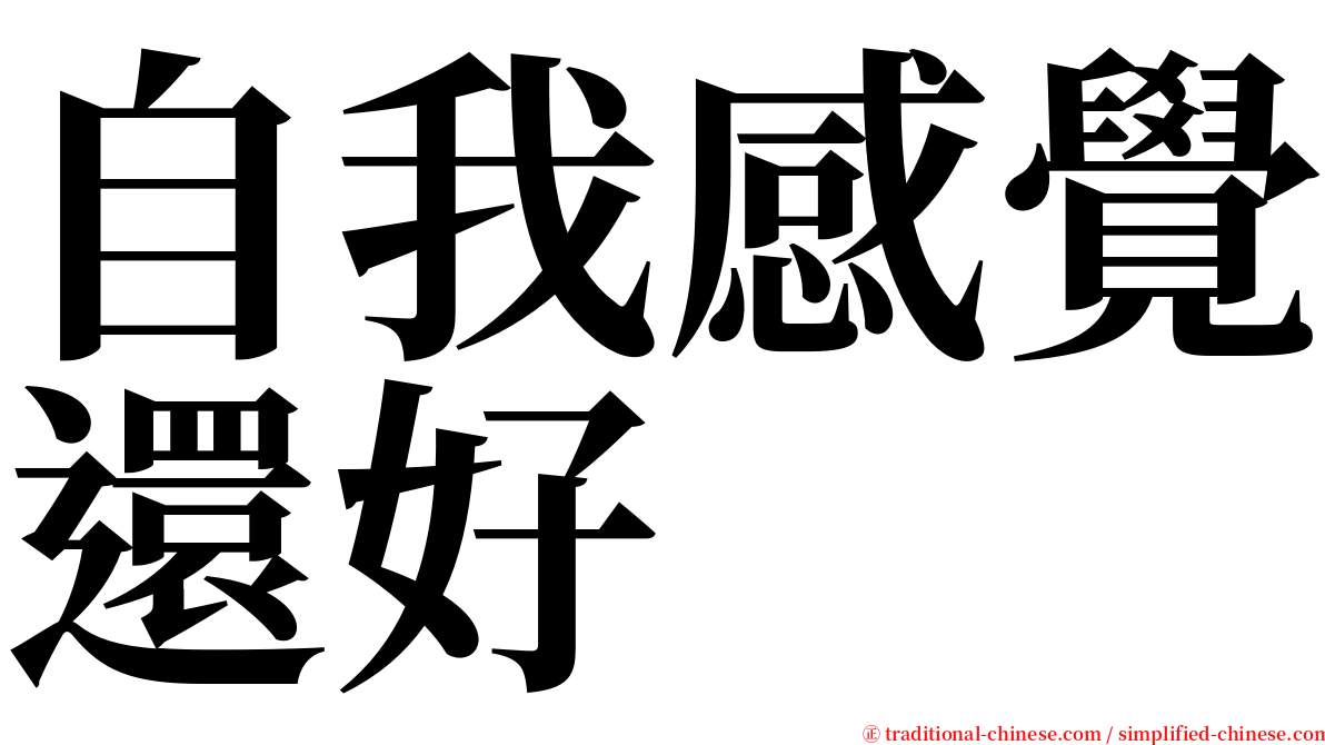 自我感覺還好 serif font