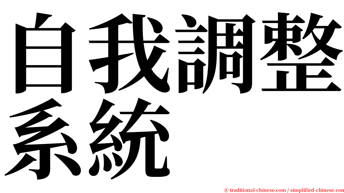 自我調整系統 serif font