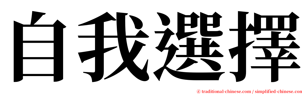 自我選擇 serif font