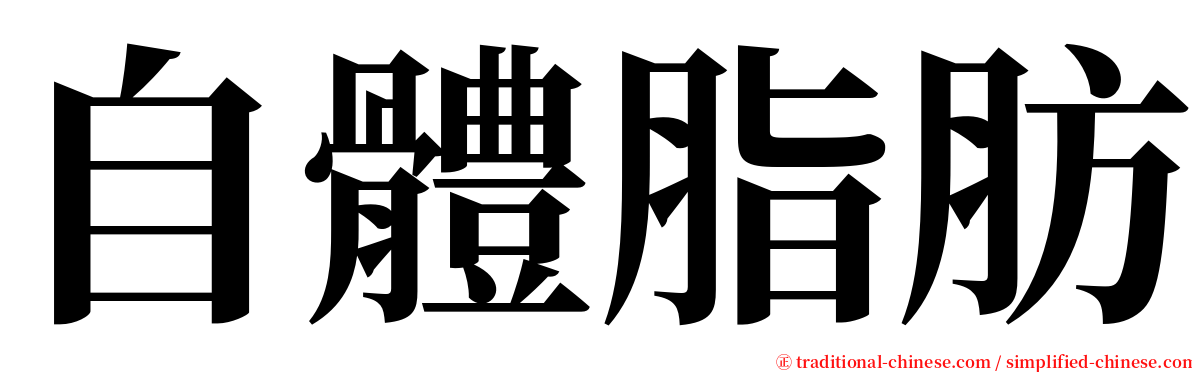 自體脂肪 serif font