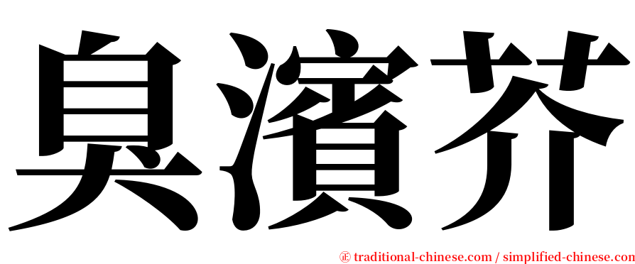 臭濱芥 serif font