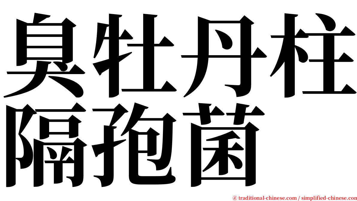 臭牡丹柱隔孢菌 serif font