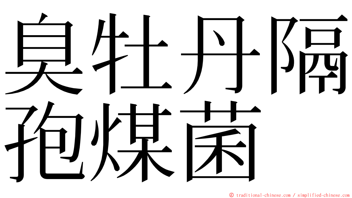 臭牡丹隔孢煤菌 ming font