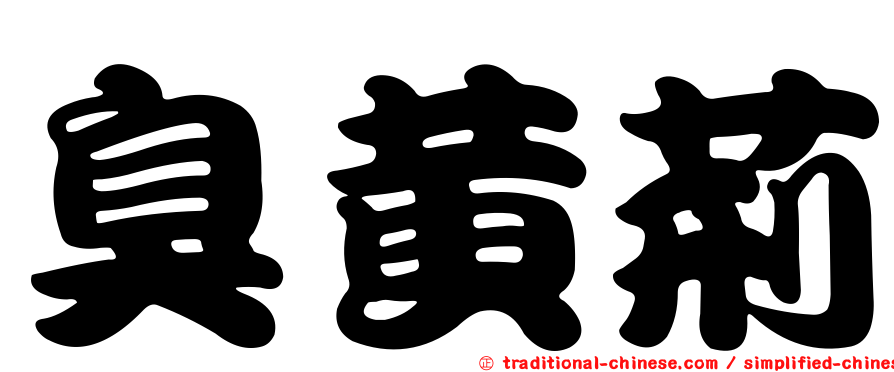 臭黃荊