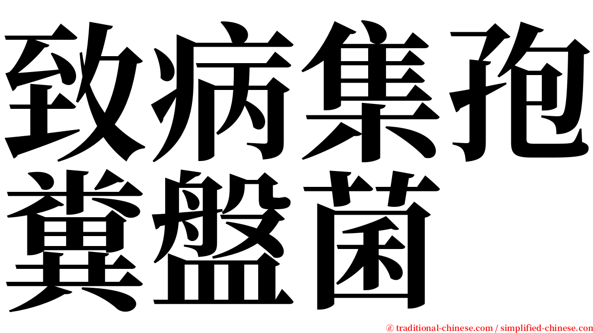 致病集孢糞盤菌 serif font