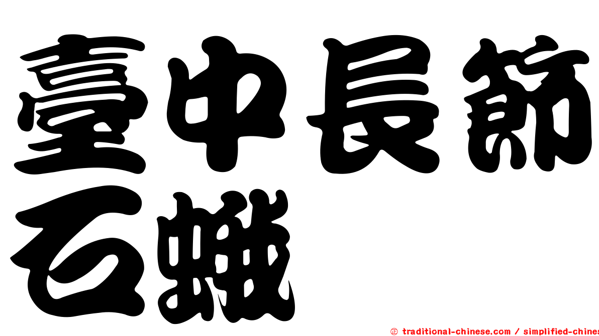 臺中長節石蛾