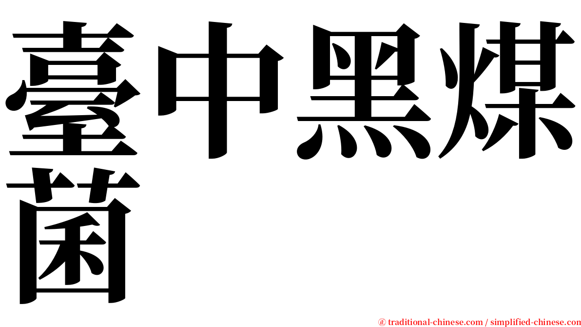 臺中黑煤菌 serif font