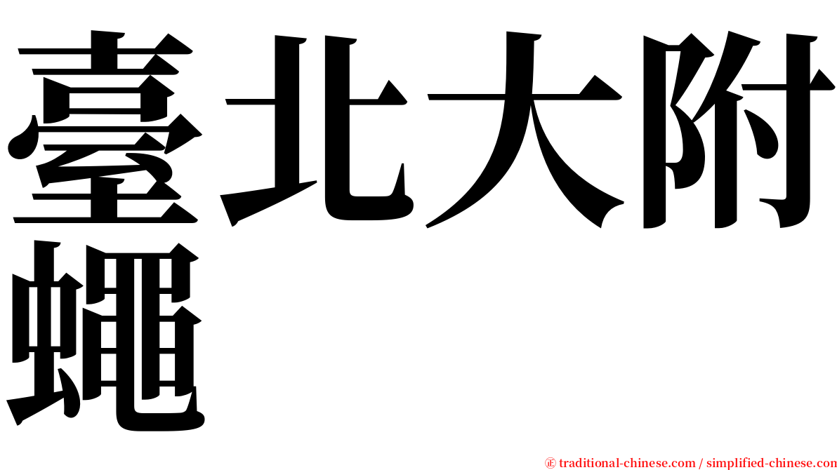 臺北大附蠅 serif font