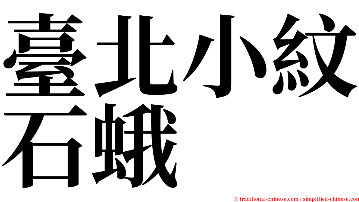 臺北小紋石蛾 serif font