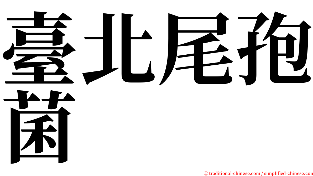 臺北尾孢菌 serif font