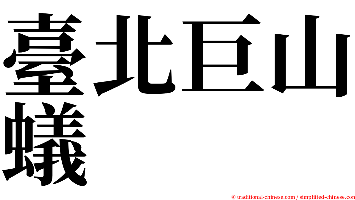 臺北巨山蟻 serif font