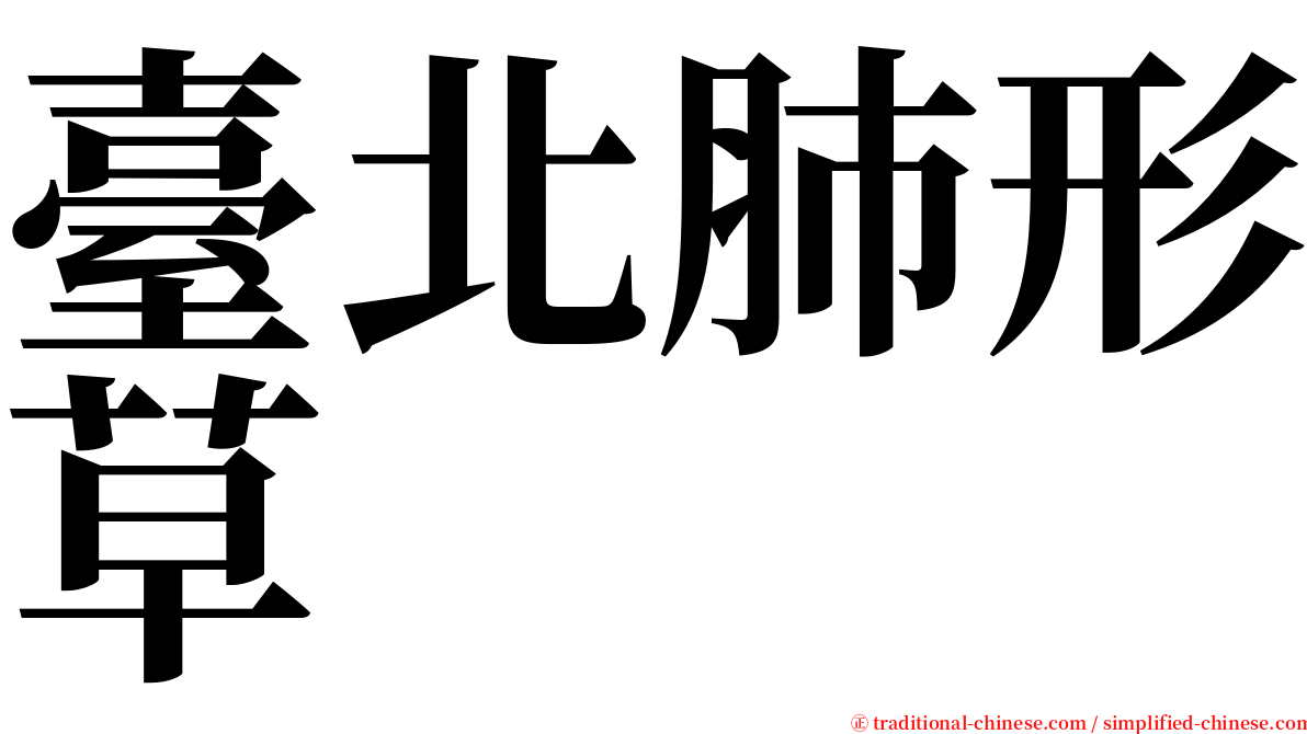 臺北肺形草 serif font