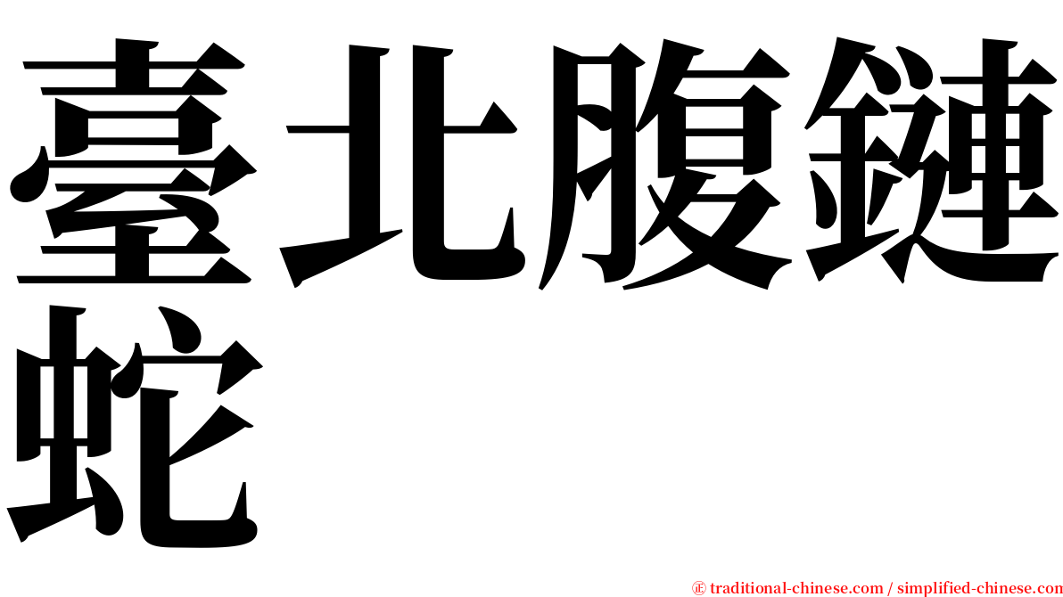 臺北腹鏈蛇 serif font