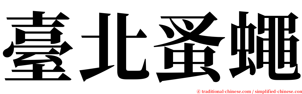 臺北蚤蠅 serif font