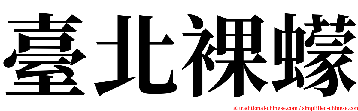 臺北裸蠓 serif font