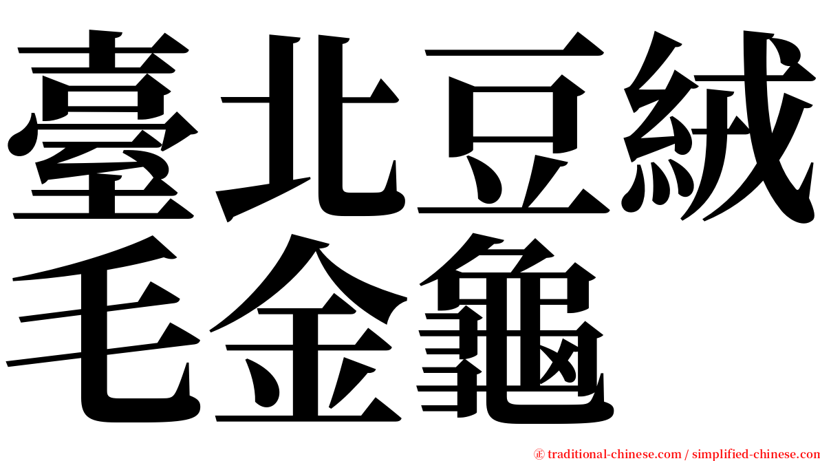 臺北豆絨毛金龜 serif font