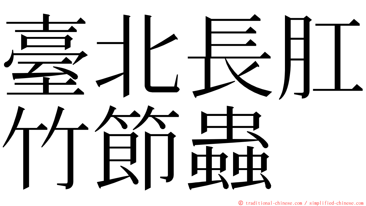 臺北長肛竹節蟲 ming font