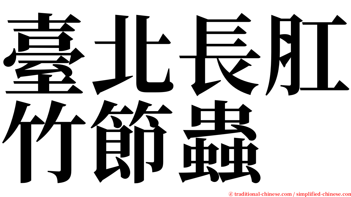 臺北長肛竹節蟲 serif font