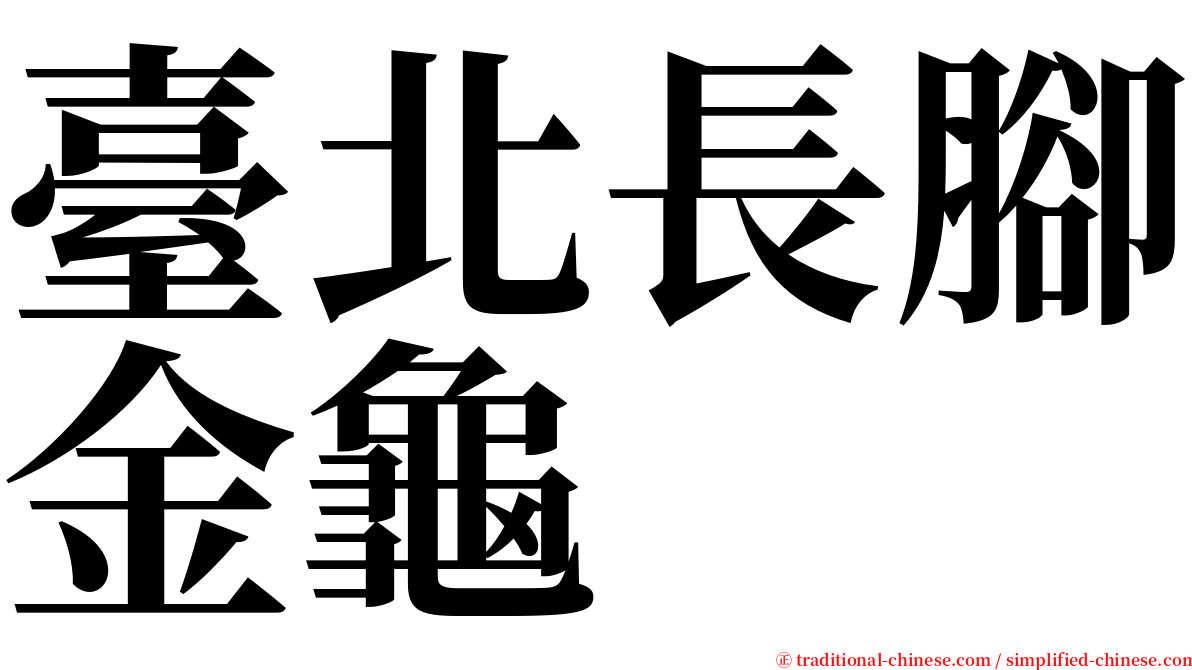臺北長腳金龜 serif font