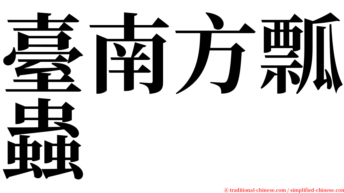 臺南方瓢蟲 serif font