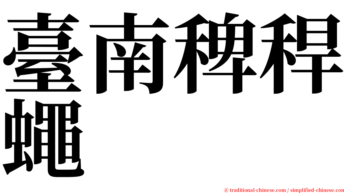 臺南稗稈蠅 serif font