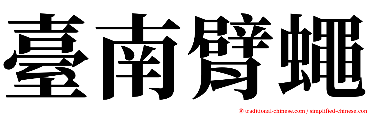 臺南臂蠅 serif font