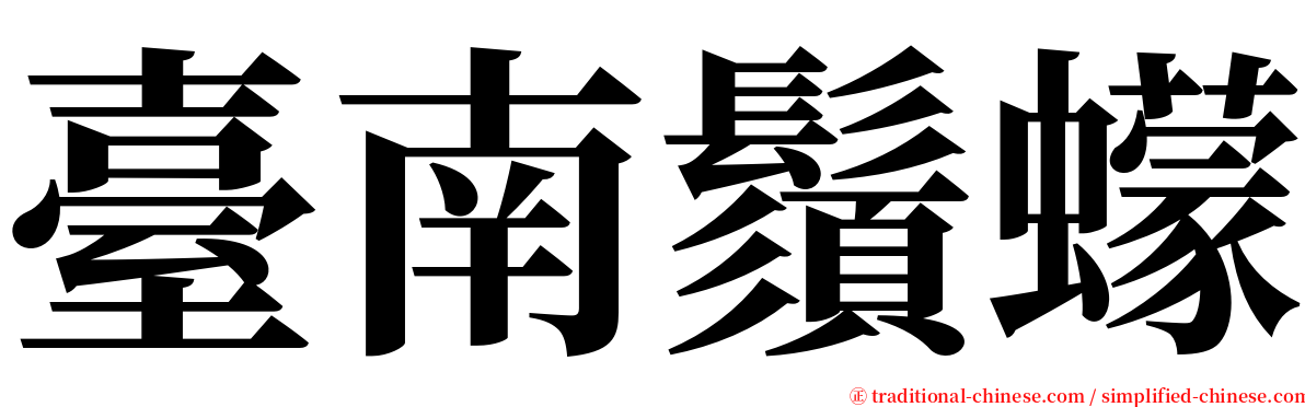 臺南鬚蠓 serif font