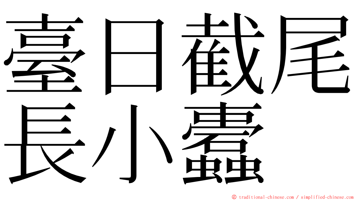 臺日截尾長小蠹 ming font