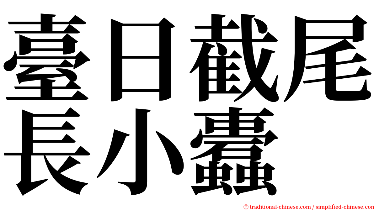 臺日截尾長小蠹 serif font