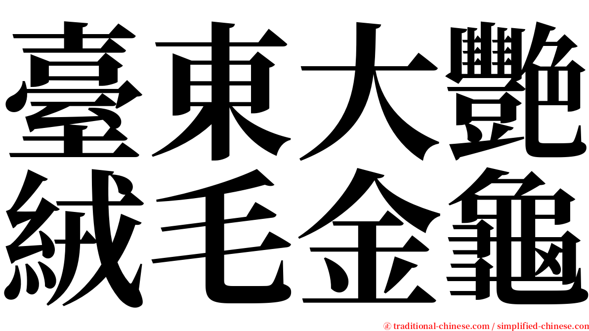 臺東大艷絨毛金龜 serif font