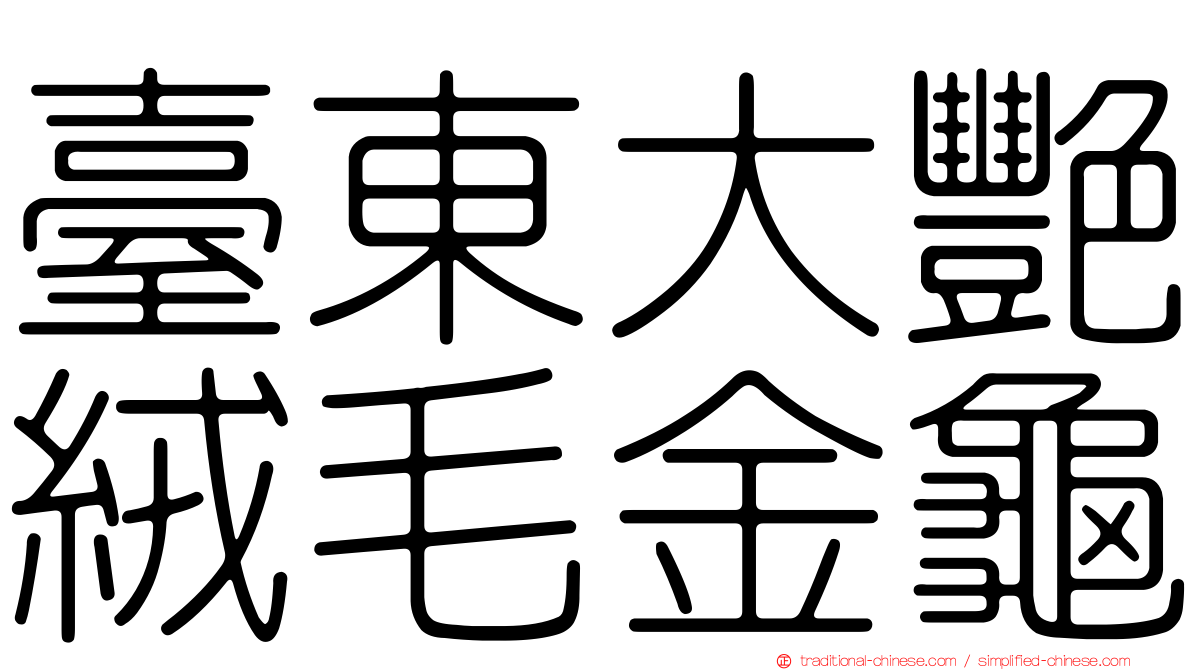 臺東大艷絨毛金龜