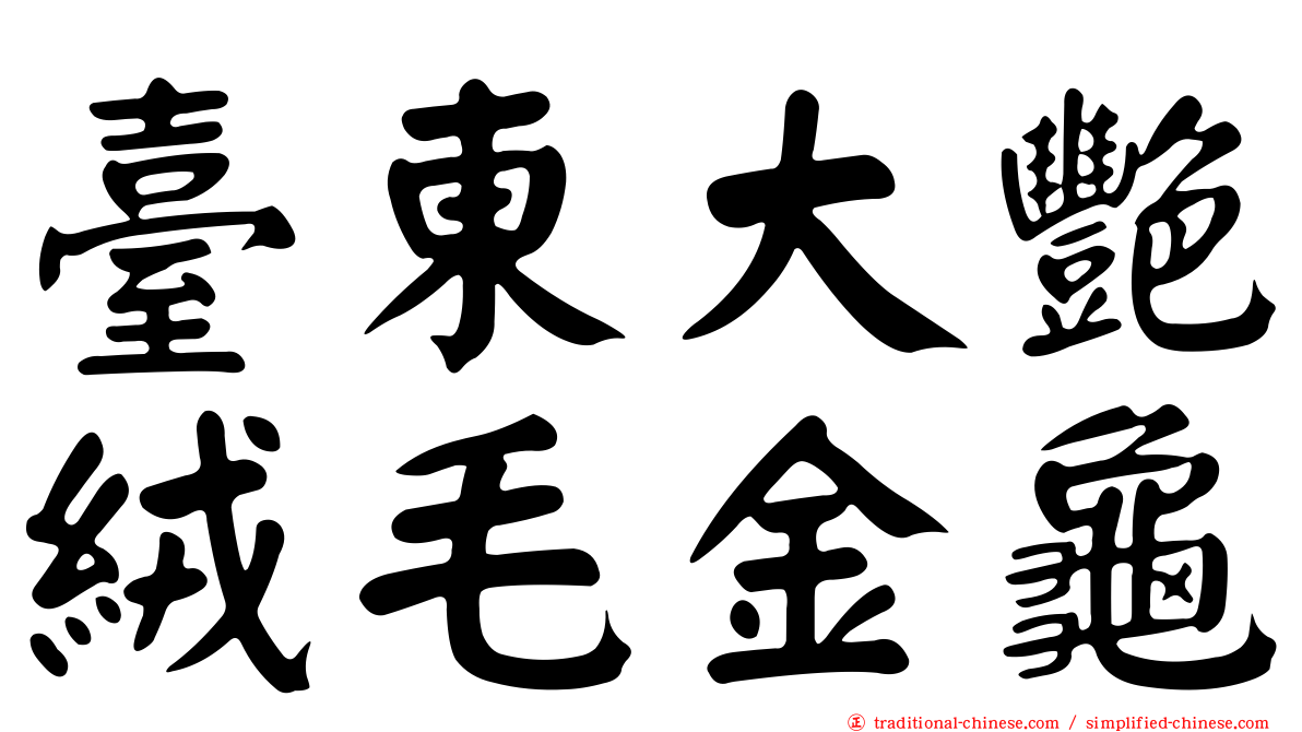 臺東大艷絨毛金龜