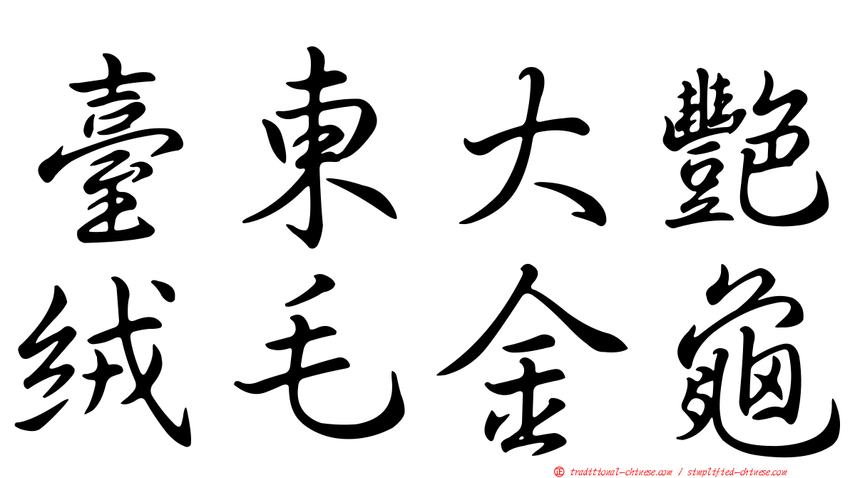 臺東大艷絨毛金龜