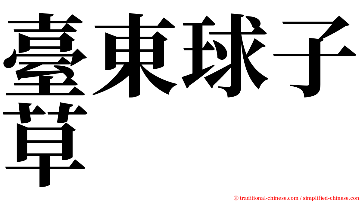 臺東球子草 serif font