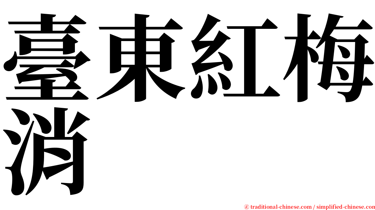 臺東紅梅消 serif font