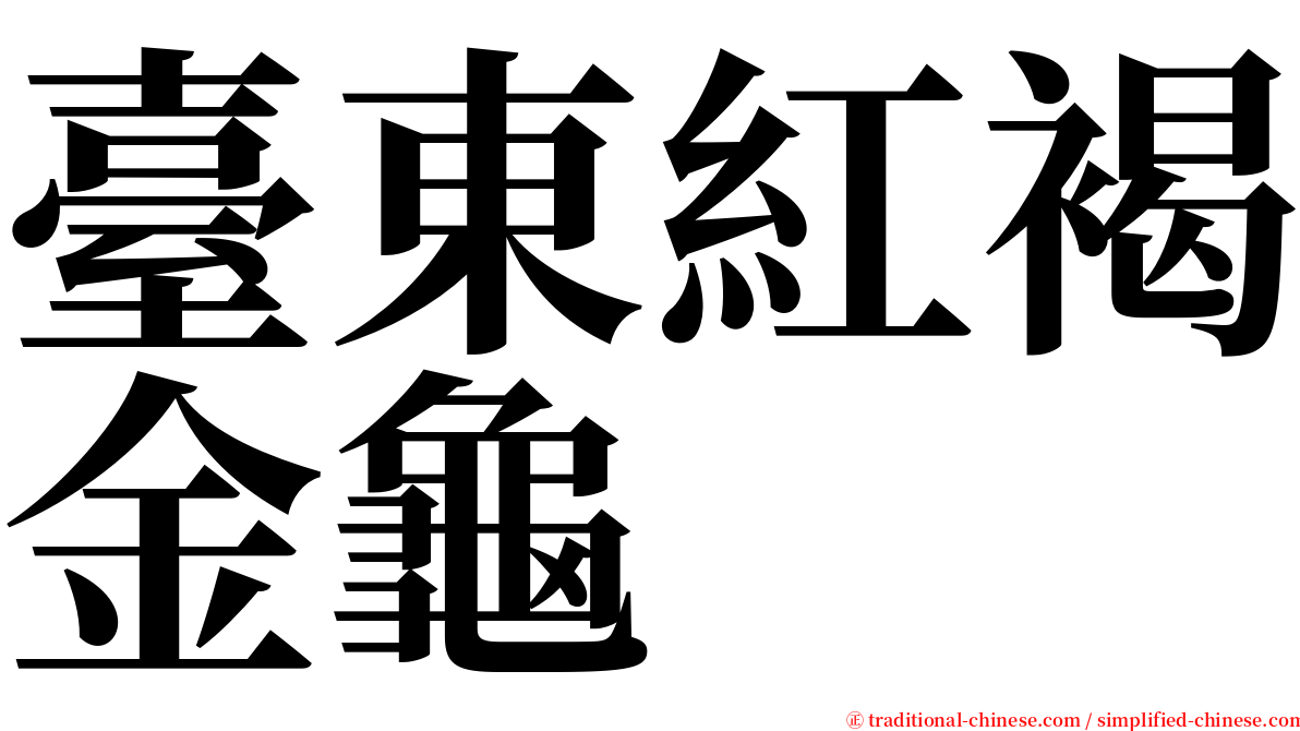 臺東紅褐金龜 serif font