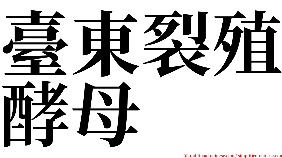 臺東裂殖酵母 serif font