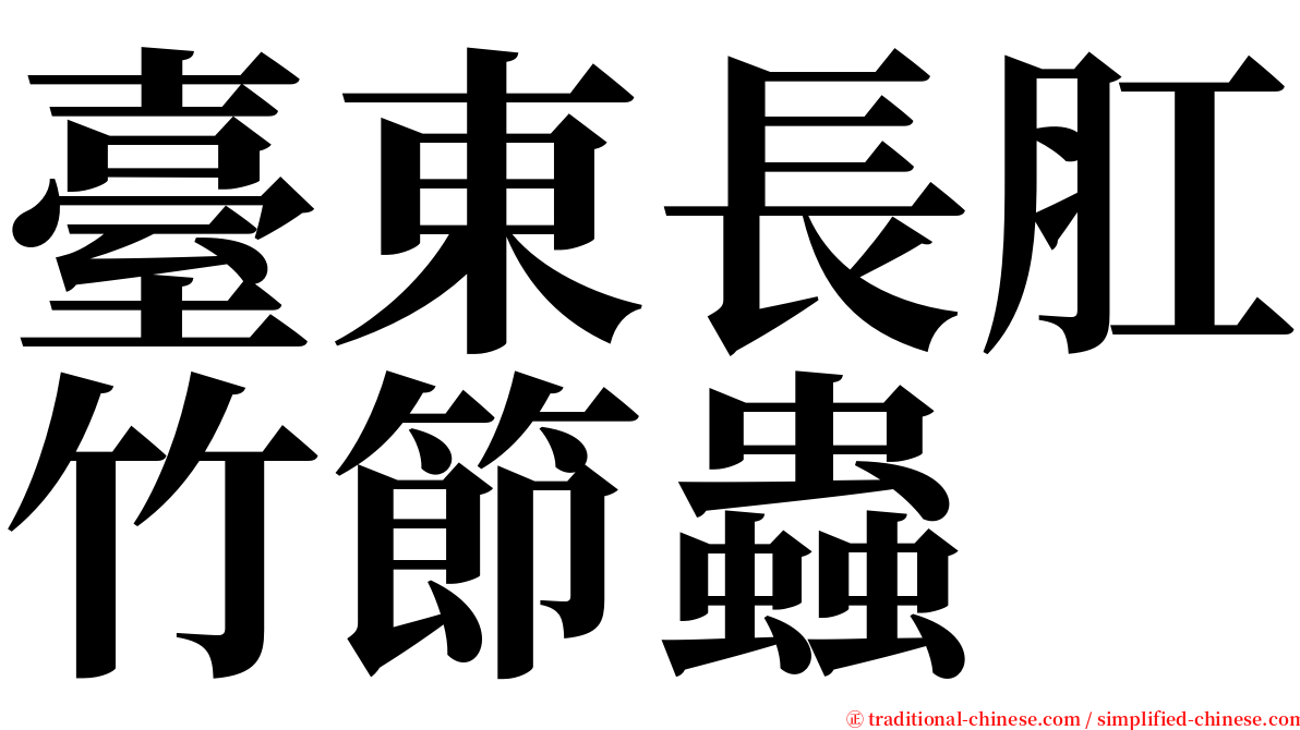 臺東長肛竹節蟲 serif font