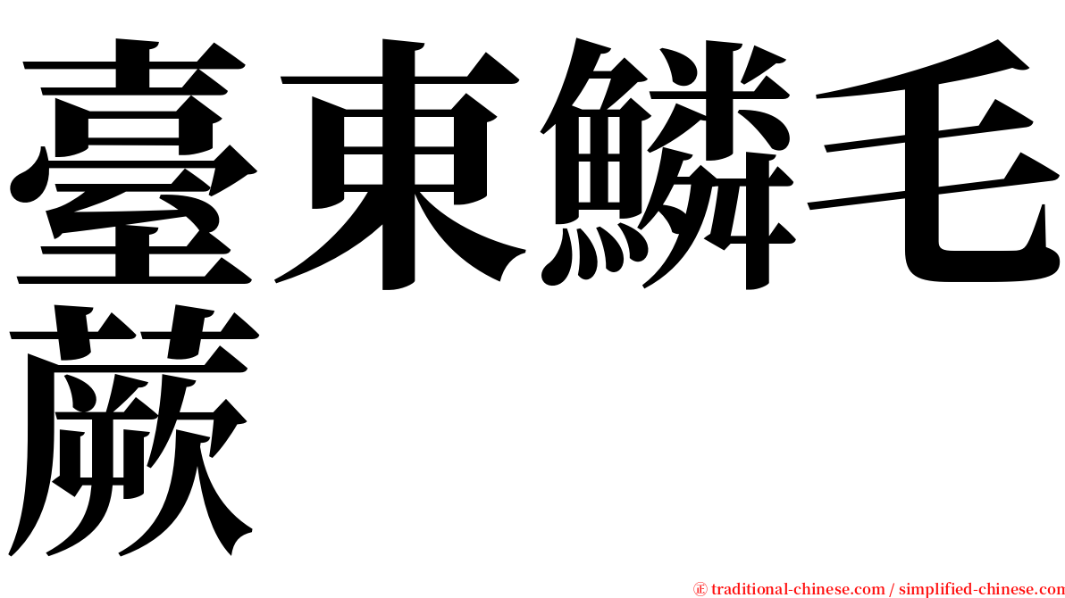 臺東鱗毛蕨 serif font