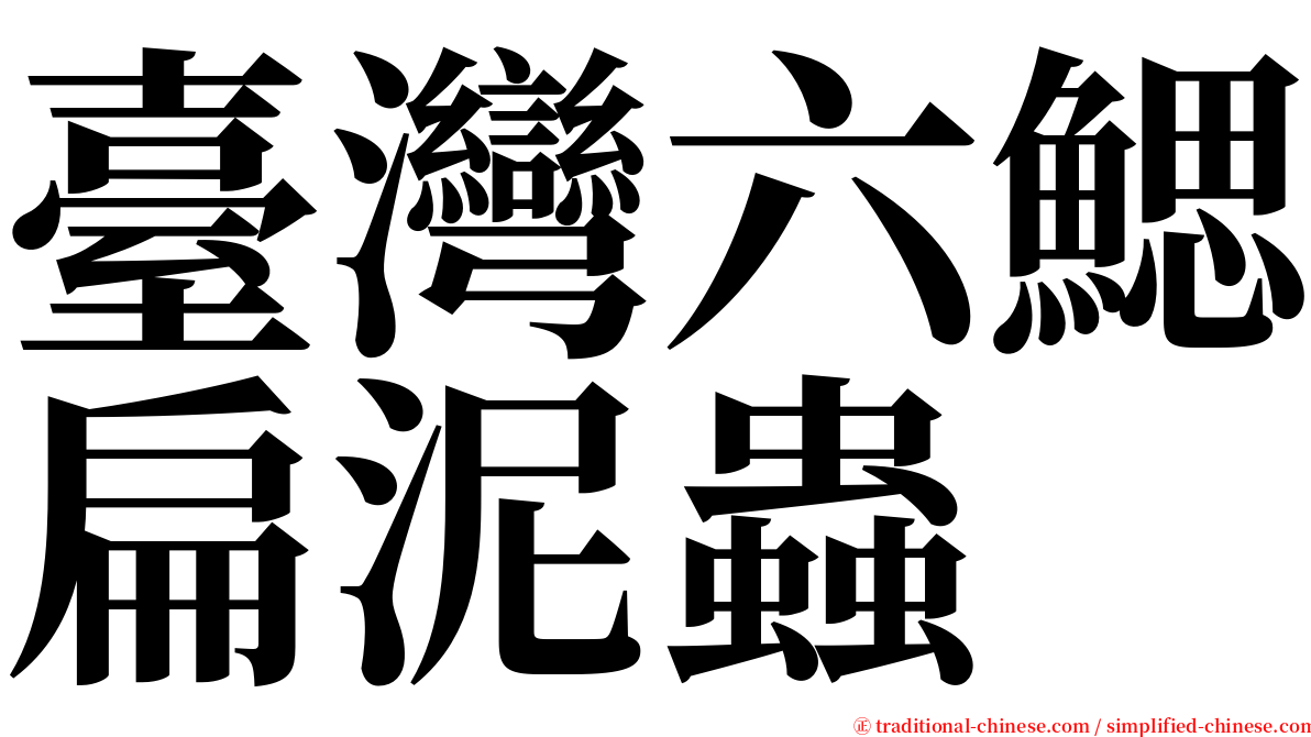 臺灣六鰓扁泥蟲 serif font