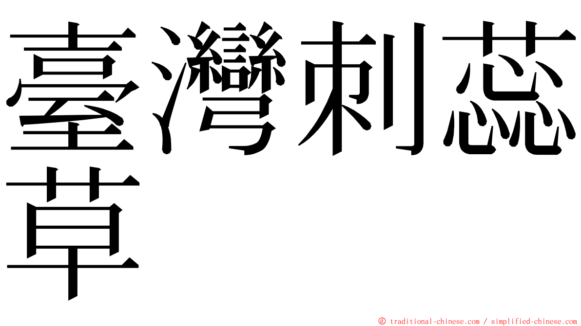 臺灣刺蕊草 ming font