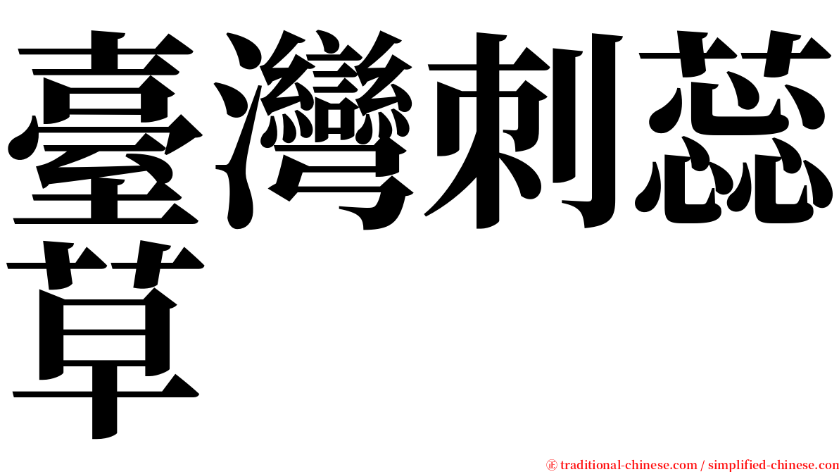 臺灣刺蕊草 serif font